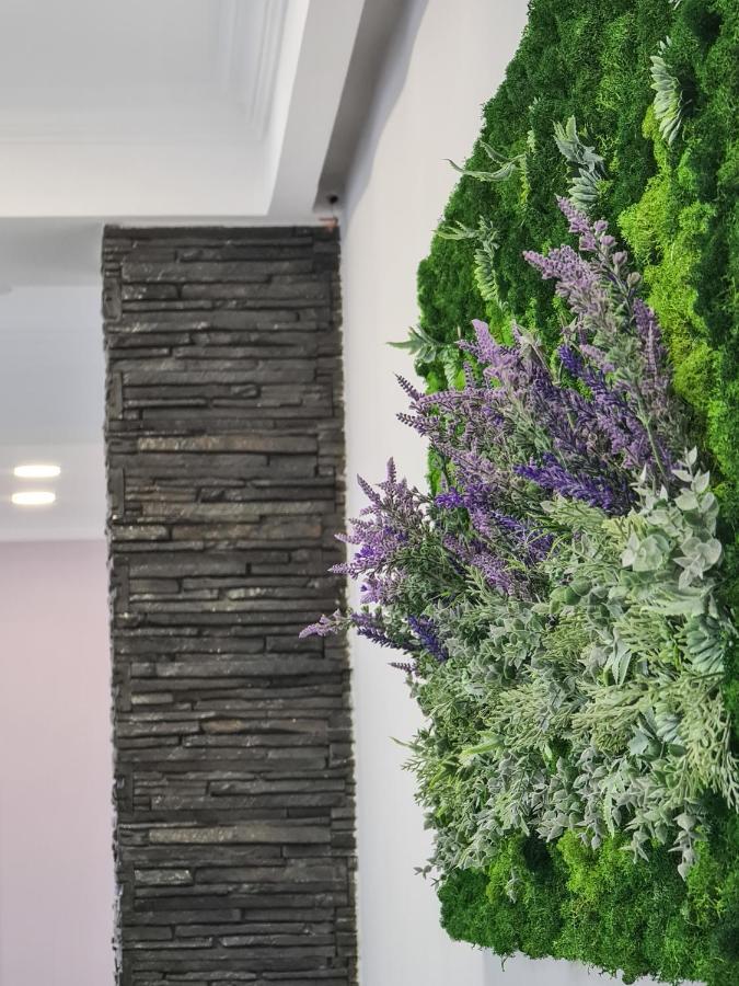 Pensiunea Lavanda, Piatra-Neamt Piatra Neamt Bagian luar foto