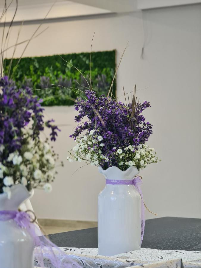 Pensiunea Lavanda, Piatra-Neamt Piatra Neamt Bagian luar foto
